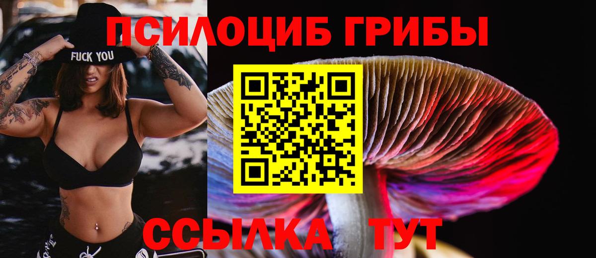 Псилоцибиновые грибы ЛСД Батайск